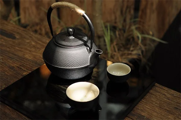 ベゴニアの植え替え、タイミングと手順を徹底解説！成功するコツは？